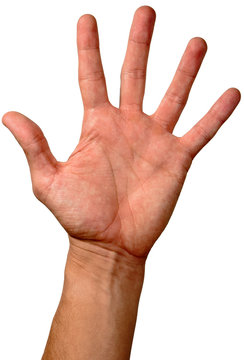 Male hand isolated on white background