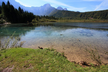 Fototapeta na wymiar Scenic view of the shallow crystal clear water of the Almsee, near Grünau im Almtal, Oberösterreich, Austria