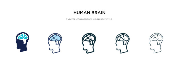 human brain icon in different style vector illustration. two colored and black human brain vector icons designed in filled, outline, line and stroke style can be used for web, mobile, ui