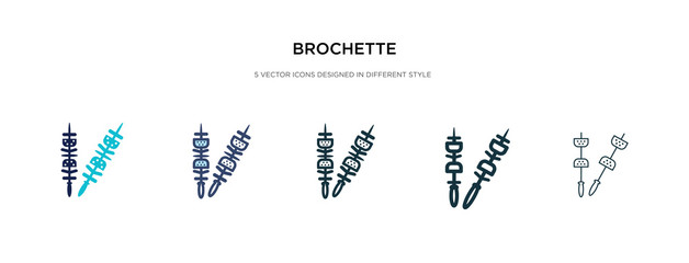brochette icon in different style vector illustration. two colored and black brochette vector icons designed in filled, outline, line and stroke style can be used for web, mobile, ui
