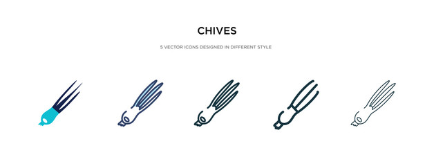 chives icon in different style vector illustration. two colored and black chives vector icons designed in filled, outline, line and stroke style can be used for web, mobile, ui
