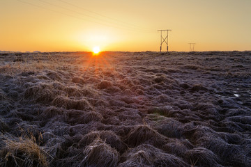 Dawn landscape with a frosty tundra and electric pylons. Beautiful golden morning light.