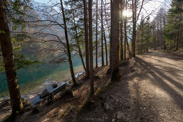 Empty wooden bench at the shore of the Vorderer Langbathsee near Ebensee, OÖ, Austria, with the great landscape reflecting on the crystal clear water