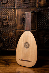 Lute of the 17th century
