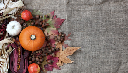Thanksgiving Pumpkin with acorns and dried corn on burlap cloth