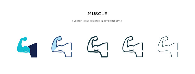 muscle icon in different style vector illustration. two colored and black muscle vector icons designed in filled, outline, line and stroke style can be used for web, mobile, ui