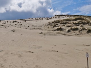 Große Düne Kurische Nehrung