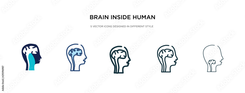 Wall mural brain inside human head icon in different style vector illustration. two colored and black brain ins - Wall murals