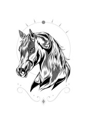 horse head icon. horse logo vector. racing horse. pet animal