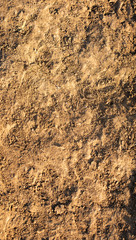 texture of clay soil