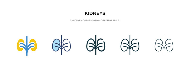 kidneys icon in different style vector illustration. two colored and black kidneys vector icons designed in filled, outline, line and stroke style can be used for web, mobile, ui