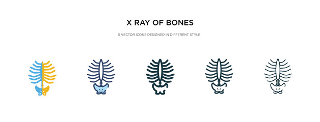 x ray of bones icon in different style vector illustration. two colored and black x ray of bones vector icons designed in filled, outline, line and stroke style can be used for web, mobile, ui