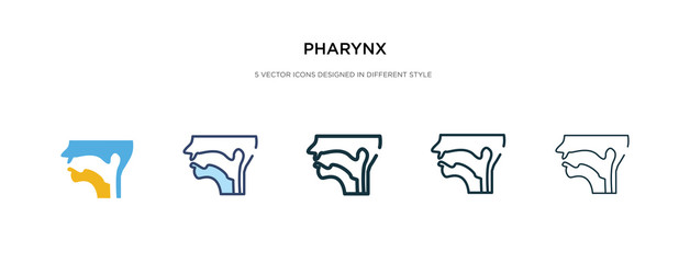pharynx icon in different style vector illustration. two colored and black pharynx vector icons designed in filled, outline, line and stroke style can be used for web, mobile, ui