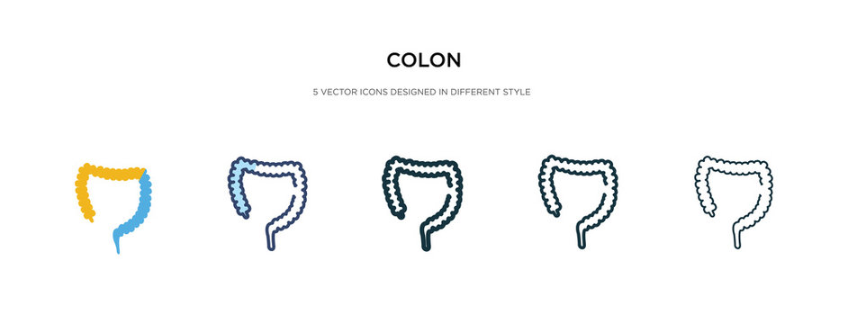 Colon Icon In Different Style Vector Illustration. Two Colored And Black Colon Vector Icons Designed In Filled, Outline, Line And Stroke Style Can Be Used For Web, Mobile, Ui