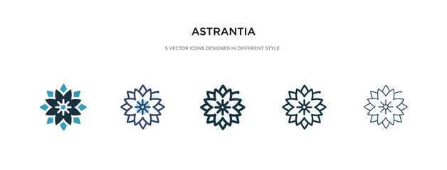 astrantia icon in different style vector illustration. two colored and black astrantia vector icons designed in filled, outline, line and stroke style can be used for web, mobile, ui