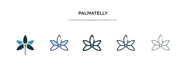 palmatelly icon in different style vector illustration. two colored and black palmatelly vector icons designed in filled, outline, line and stroke style can be used for web, mobile, ui