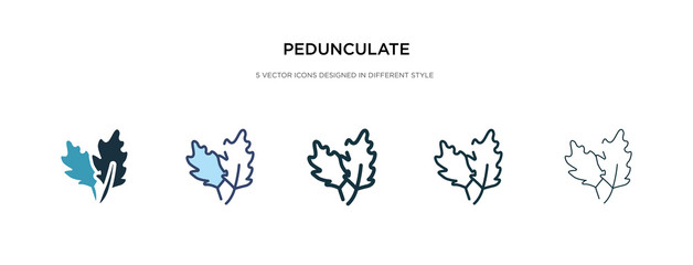 pedunculate icon in different style vector illustration. two colored and black pedunculate vector icons designed in filled, outline, line and stroke style can be used for web, mobile, ui