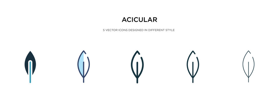 acicular icon in different style vector illustration. two colored and black acicular vector icons designed in filled, outline, line and stroke style can be used for web, mobile, ui