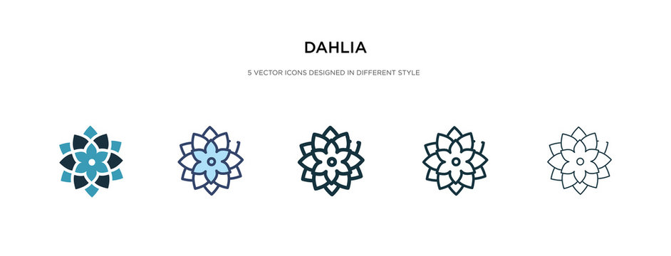 dahlia icon in different style vector illustration. two colored and black dahlia vector icons designed in filled, outline, line and stroke style can be used for web, mobile, ui
