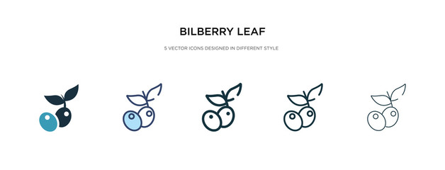 bilberry leaf icon in different style vector illustration. two colored and black bilberry leaf vector icons designed in filled, outline, line and stroke style can be used for web, mobile, ui