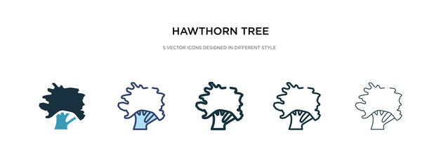 Obraz premium hawthorn tree icon in different style vector illustration. two colored and black hawthorn tree vector icons designed in filled, outline, line and stroke style can be used for web, mobile, ui