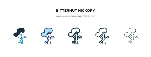 bitternut hickory tree icon in different style vector illustration. two colored and black bitternut hickory tree vector icons designed in filled, outline, line and stroke style can be used for web,