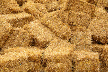 Rectangular yellow packs of hay on background