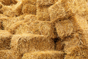 Rectangular yellow packs of hay on background - obrazy, fototapety, plakaty