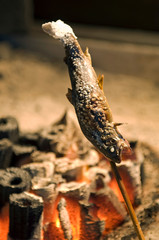 焼き魚