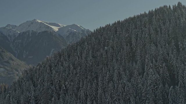 serfaus forest and toesens mountains flight in snow