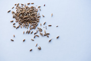 cumin seeds, spice, seeds, dry seeds, texture