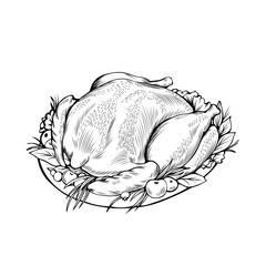 Cooked chicken hand drawn vector illustration. Autumn season holiday, thanksgiving day, festive dinner thin line symbol. Baked turkey with garnish monochrome drawing. Traditional homemade dish