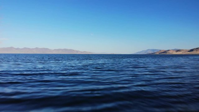 Low Flight Over Pyramid Lake with Birds in Flight - Aerial Drone.