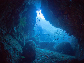 西伊豆_雲見_スキューバダイビング