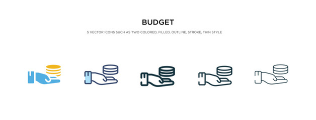 budget icon in different style vector illustration. two colored and black budget vector icons designed in filled, outline, line and stroke style can be used for web, mobile, ui