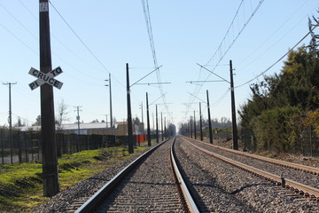 Fototapeta premium vias del tren