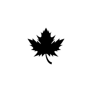 Stylized Autumn Maple Leaf Foliage logo