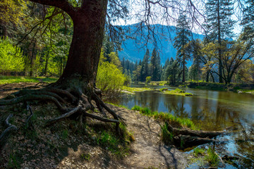 Yosemite-08