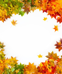 Naklejka na ściany i meble Autumn background with red, yellow, orange maple leaves
