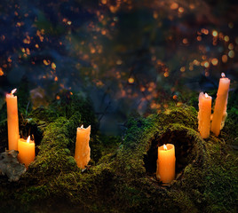 Fantasy dark Halloween Background. Beautiful mysterious forest backdrop with witchcraft fire...