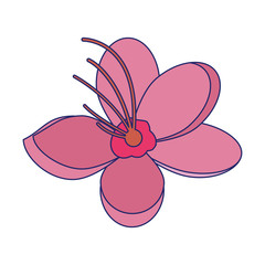 cherry blossom design