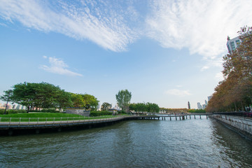 Fototapeta premium landscape with river and trees