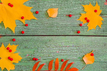 Pattern of yellow maple leaves and red rowan berries on old wooden green board with cracked paint, copy space, flat lie, autumn background blank for text