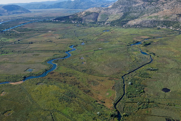 Reeds on the Neretva River delta, Croatia