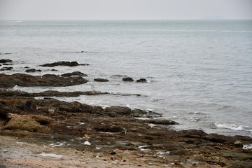 Obraz premium waves on beach