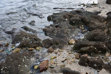stones in water