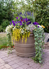 Large Planter with Multiple Flower Speciies
