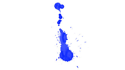 Fototapeta premium Blue watercolor drops isolated on white background