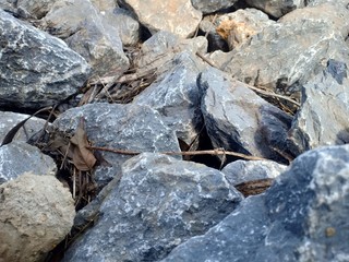 rocks in the water
