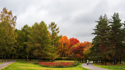 Autumn, Park path, trees, flowers.